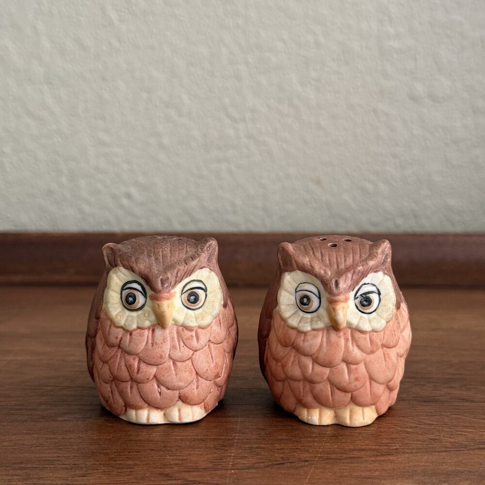 Vintage Owl Salt & Pepper Shakers 70s Boho Cottage Core Woodland Country Cabin